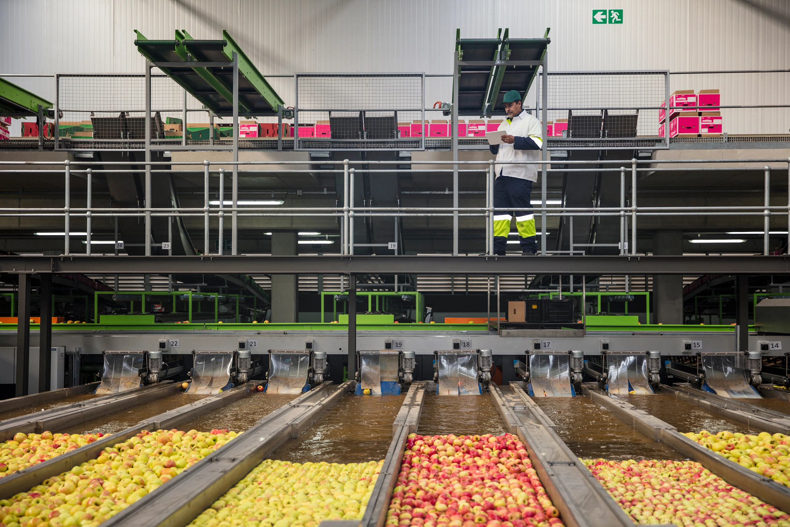 Centro de procesado hortofrutícola con sistemas de agricultura 4.0 para control, clasificación y seguimiento de la producción