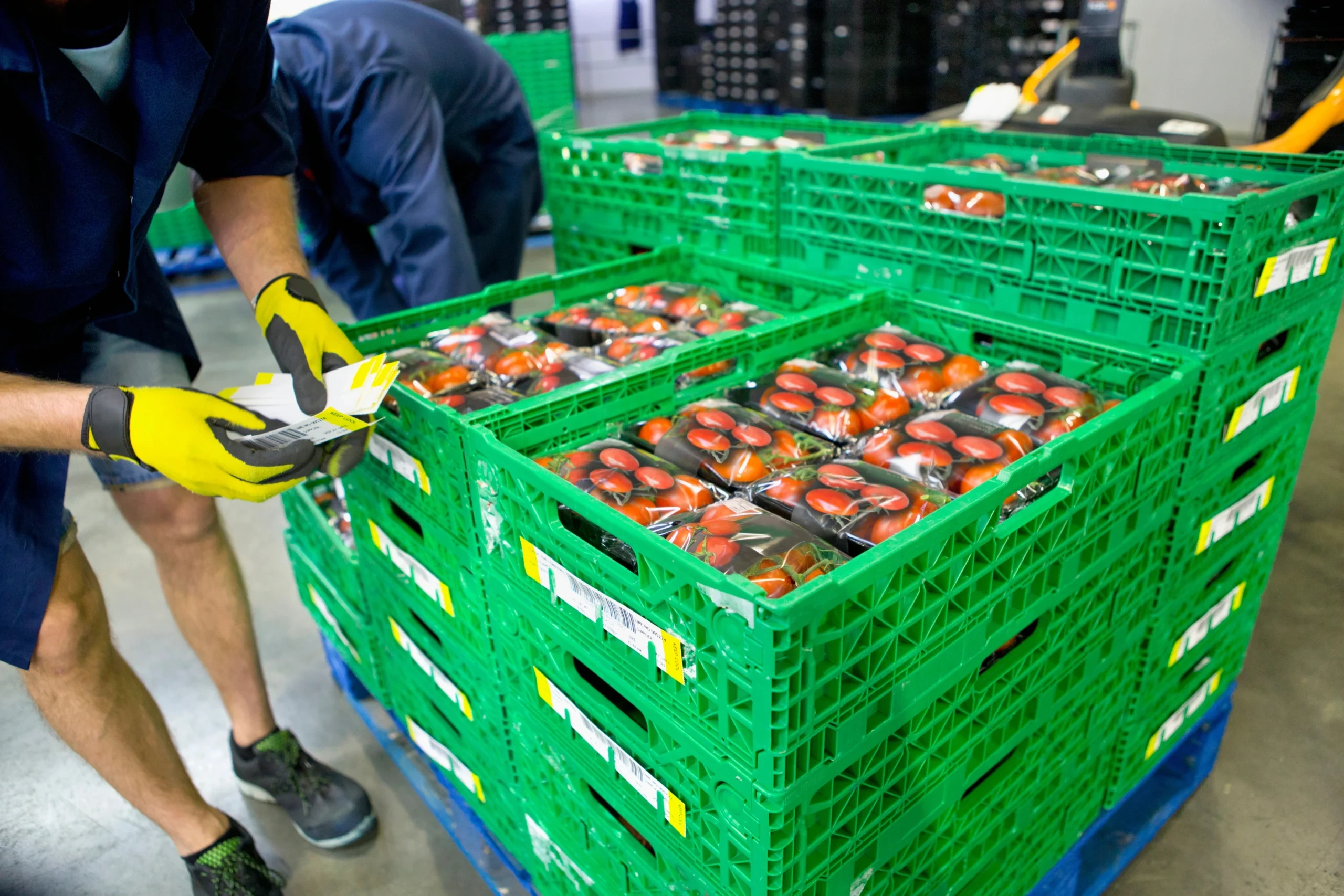 Operario realizando trazabilidad de productos hortofrutícolas mediante agricultura digital y control por RFID en almacén